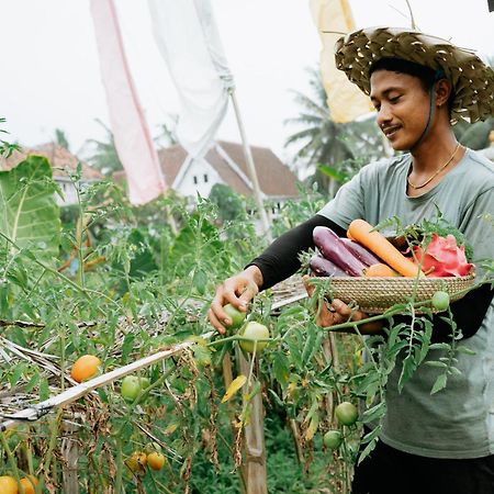 The Rice Joglo Eco-Stay Ubud Exterior foto