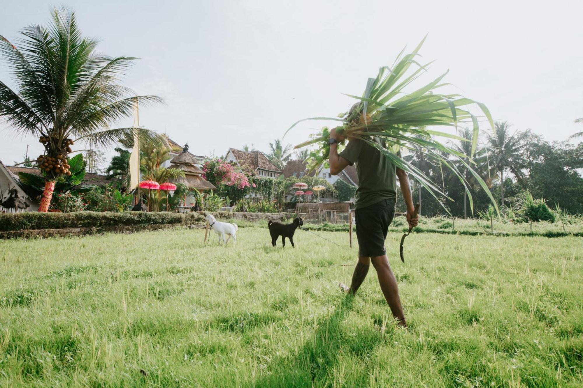 The Rice Joglo Eco-Stay Ubud Exterior foto