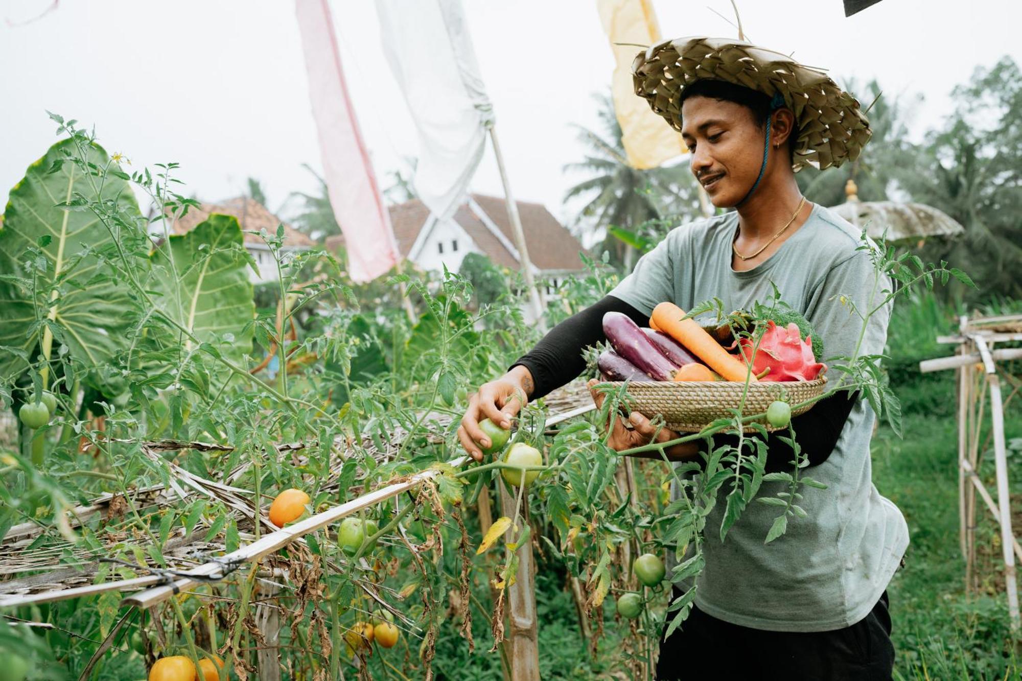 The Rice Joglo Eco-Stay Ubud Exterior foto